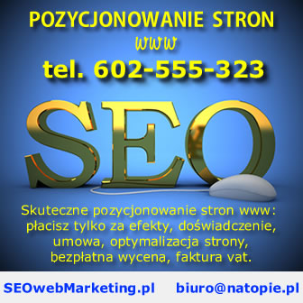pozycjonowanie stron Częstochowa Kielce Rzeszów Piotrków Trybunalski